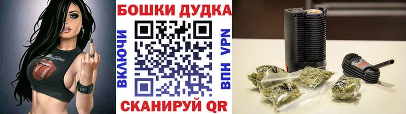 Бошки марихуана гибрид  KRAKEN ссылки  Плавск  цена  